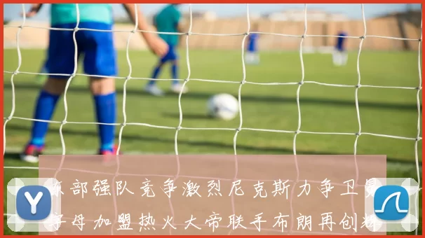 东部强队竞争激烈尼克斯力争卫冕字母加盟热火大帝联手布朗再创辉煌