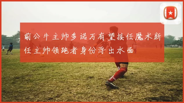 前公牛主帅多诺万有望接任魔术新任主帅领跑者身份浮出水面